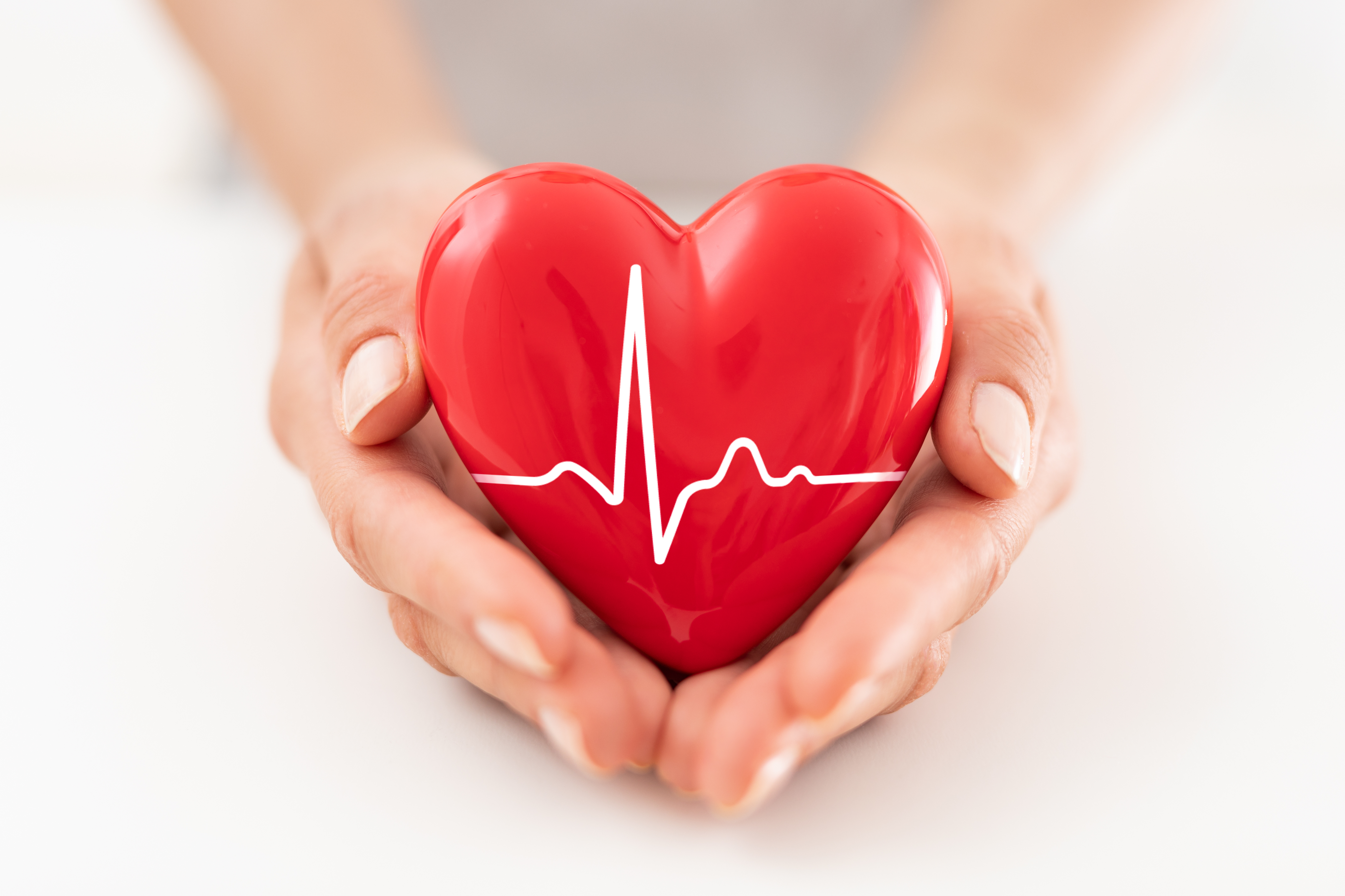 A red heart shape held in hands, featuring a white EKG line, symbolizing health and vitality.